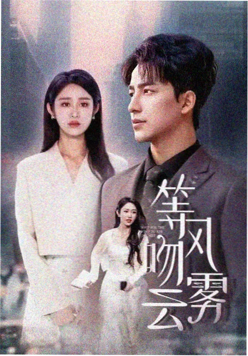 雾港谜案剧集海报